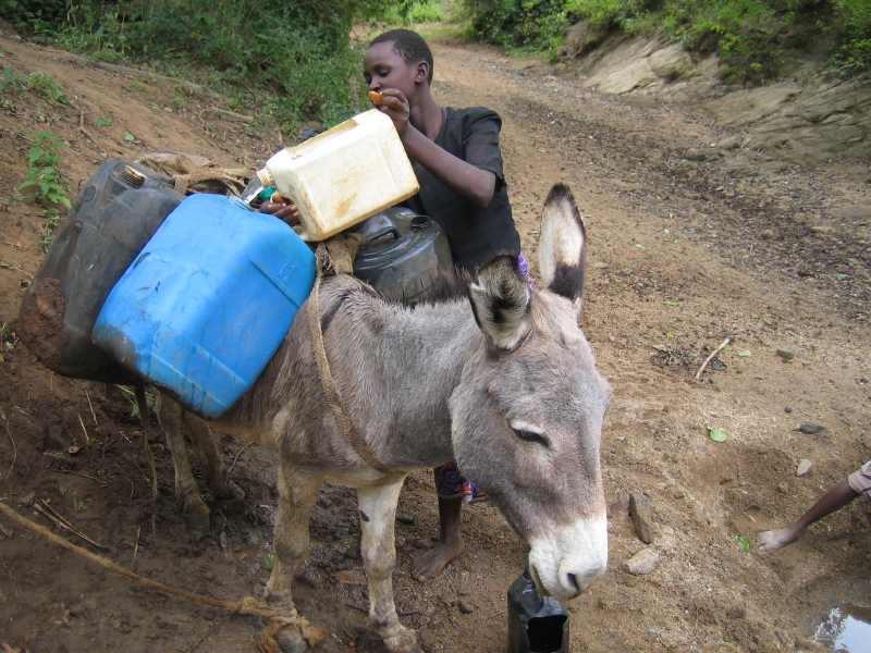 fetching water